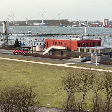 Seeschwalbe Burgtiefe auf Fehmarn