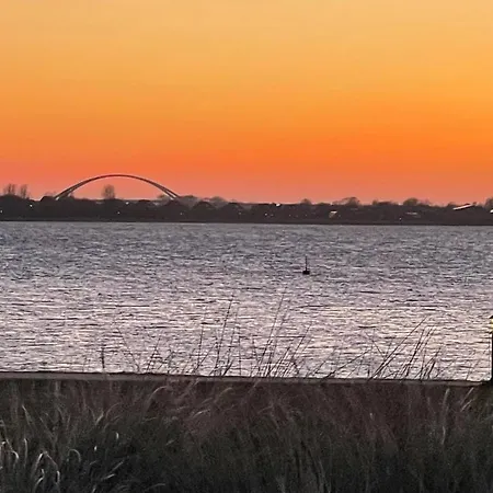 Seeschwalbe Burgtiefe auf Fehmarn