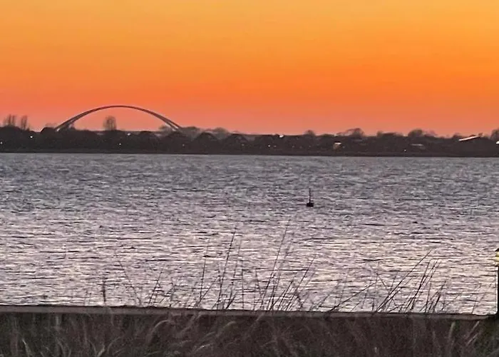 Seeschwalbe Burgtiefe auf Fehmarn